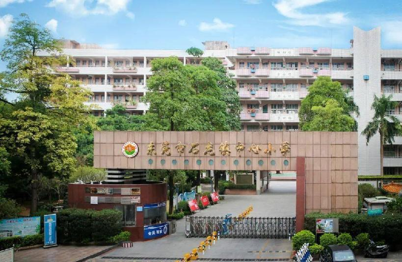 ��ݸ��ʯ��������Сѧ